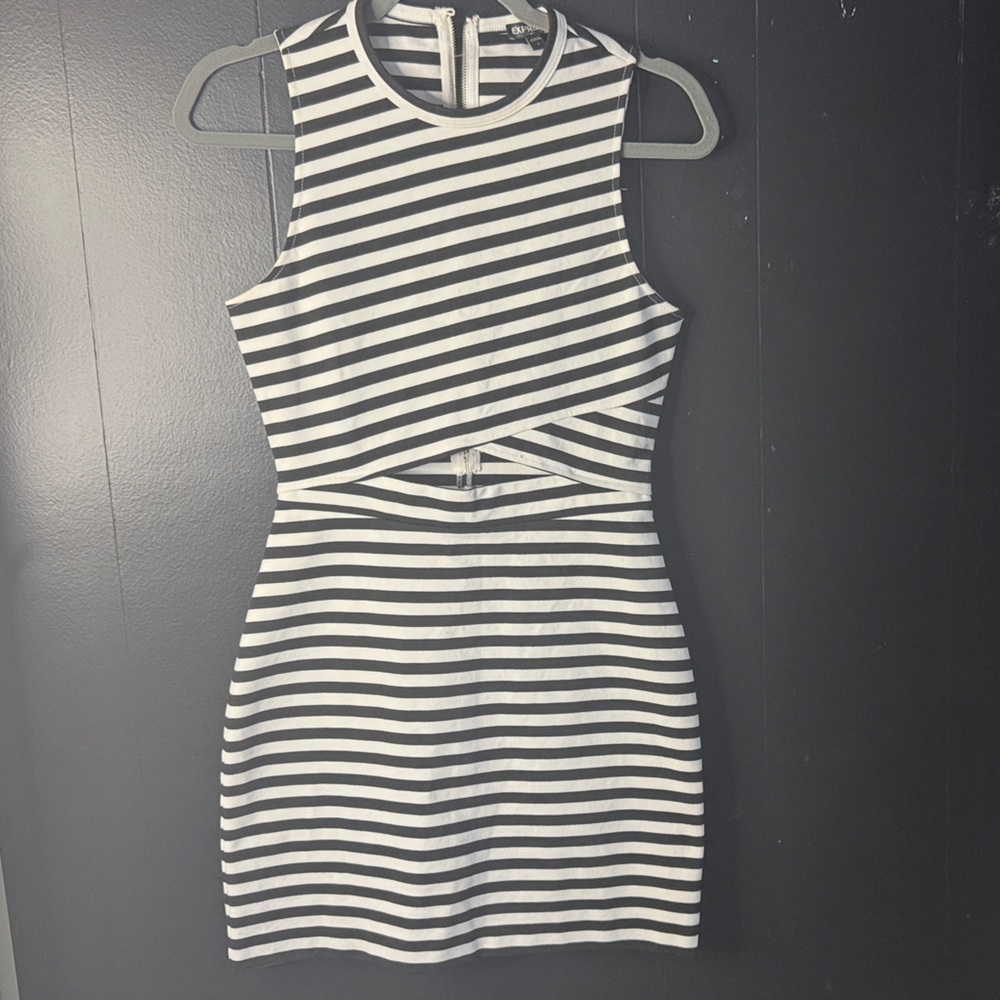 Express Monochrome Striped Dress